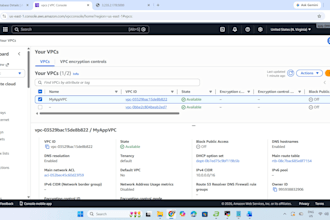 deploy and manage your AWS cloud infrastructure using devops best practices