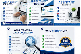 be your vertual assistant for data entry, data cleaning