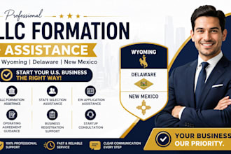 assist with wyoming delaware and new mexico llc formation