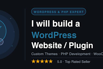 develop a professional wordpress web application or fix bugs