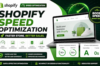 do shopify speed optimization and increase store speed
