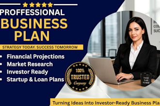 write an investor ready business plan for your ecommerce