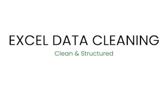 clean, organize and format messy excel or CSV data professionally