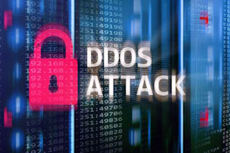 ddos attack, brute force attack, information security, website attack, sql