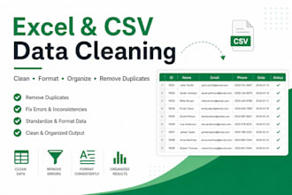 clean, format, and organize your excel or CSV data