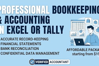 professional bookkeeping and accounting in excel or tally