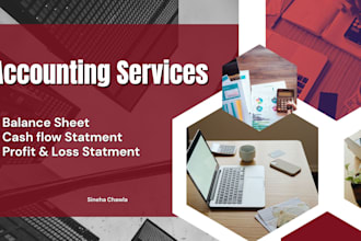 prepare profit and loss statement, balance sheet and cash flow report