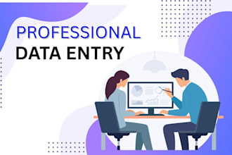 professional data entry expert