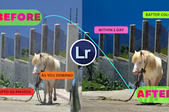 edit your wildlife and nature photos professionally