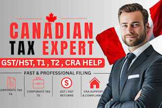 prepare and file canada tax returns USA tax returns for personal llc s c corp