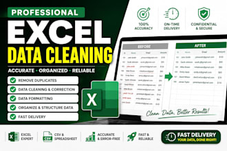 clean and format excel spreadsheets professionally