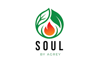 design an eyecatchy minimalist logo for your business