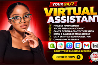 be personal executive virtual assistant for daily and admin task, wordpress VA