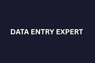 accurate data entry and excel spreadsheet work