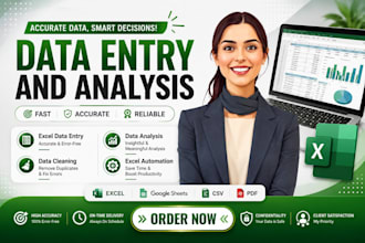 provide professional excel services