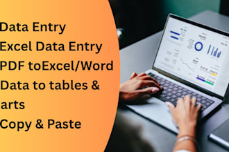 do accurate data entry and excel spreadsheet works