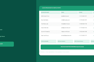 do lead generation and data entry in excel or google sheets