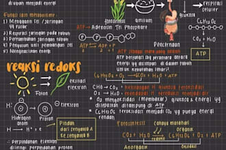 create clear and well organized study notes for any subject