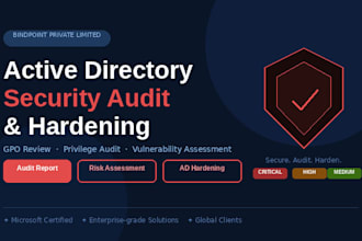perform an active directory security audit and hardening
