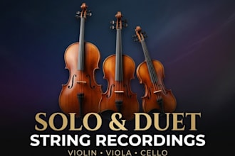 record professional solo or duet violin, viola and cello strings for your music