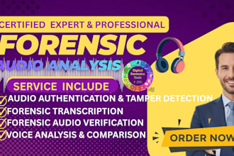 do forensic audio editing, cleanup, voice detection, noise removal, and analysis