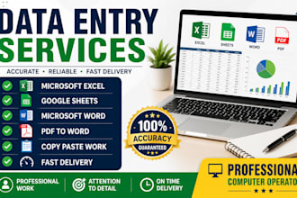 do data entry, microsoft excel, google sheets and word tasks