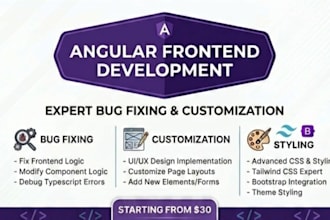 customize and fix your angular web application frontend