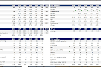 build a pro financial model, business plan, or investment memo