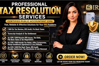 provide tax review, tax resolution and irs audit defense