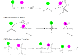 expert and tutor for general and organic chemistry
