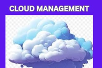 do 24x7 cloud server management