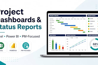 create project dashboards and status reports in excel or power bi