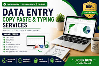 do accurate data entry, copy paste and typing work