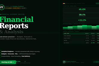 do professional financial reports, budgets, forecasts, and financial analysis
