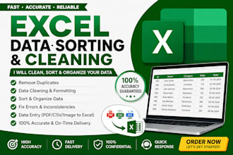 do excel data sorting, cleaning, formatting and data entry professionally
