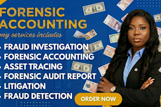 litigation support, financial analysis, expert reports and fraud examination