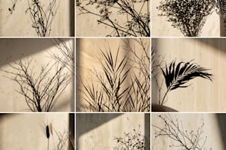 create minimalist botanical shadow backgrounds for branding