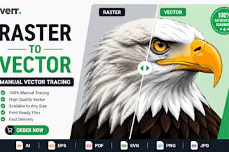 do professional raster to vector conversion or image tracing