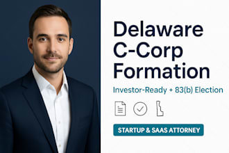 form your investor ready delaware c corp with founder 83b elections