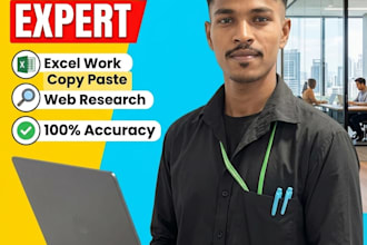 do fastest data entry, data collection, copy paste work