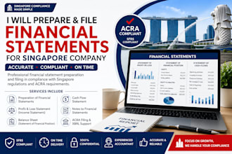 prepare and file financial statements for singapore company