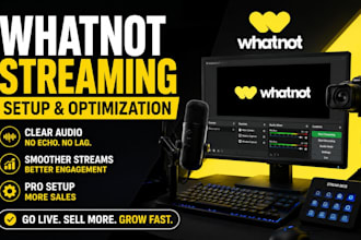 set up your whatnot stream for smooth live selling results