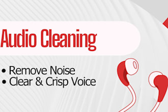 do professional audio cleaning and dialogue cleanup