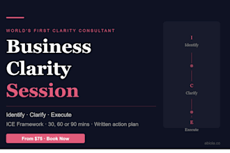 give you a business clarity session using the ice framework