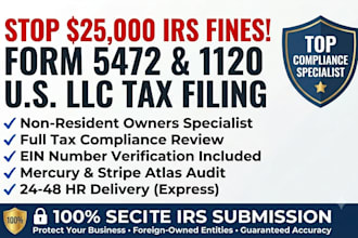 file form 5472 and 1120 pro forma for foreign owned llc