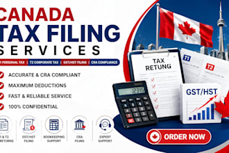 file canada tax filling tax return llc tax business tax 1120 5472 1040 cpa