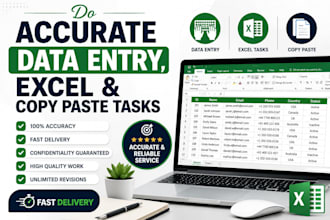 do accurate data entry, excel and copy paste tasks
