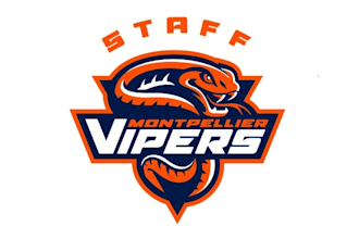 design minimal ice hockey team vipers logo
