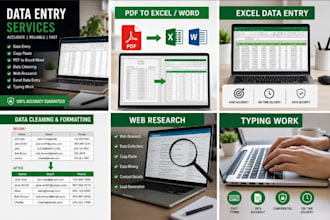do accurate data entry in exce