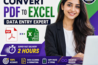 do manual PDF to excel and word data entry